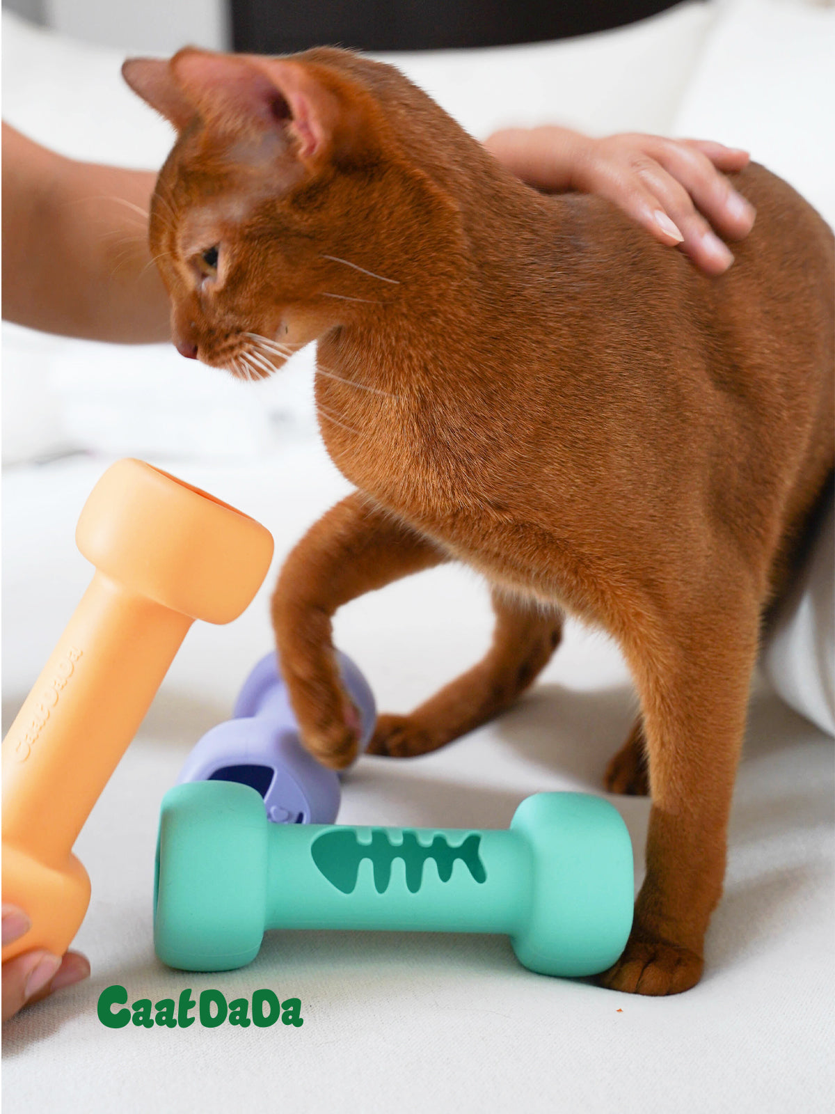 Cat Puzzle Toy Dumbbell-Interactive Cat Enrichment Toy
