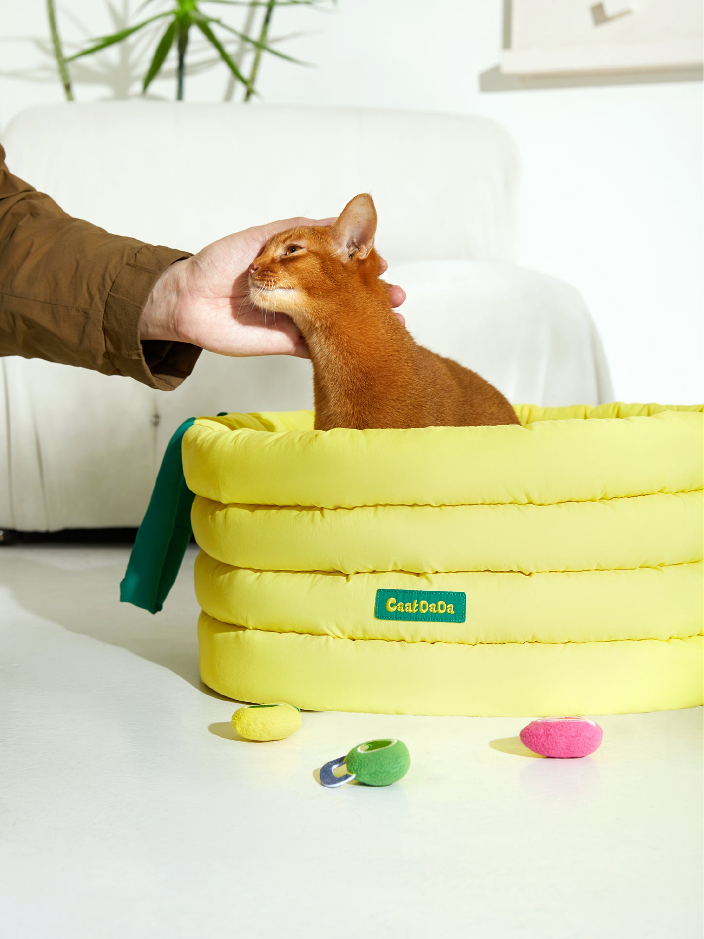 Soft spacious cat bed with non-slip base and all-season design