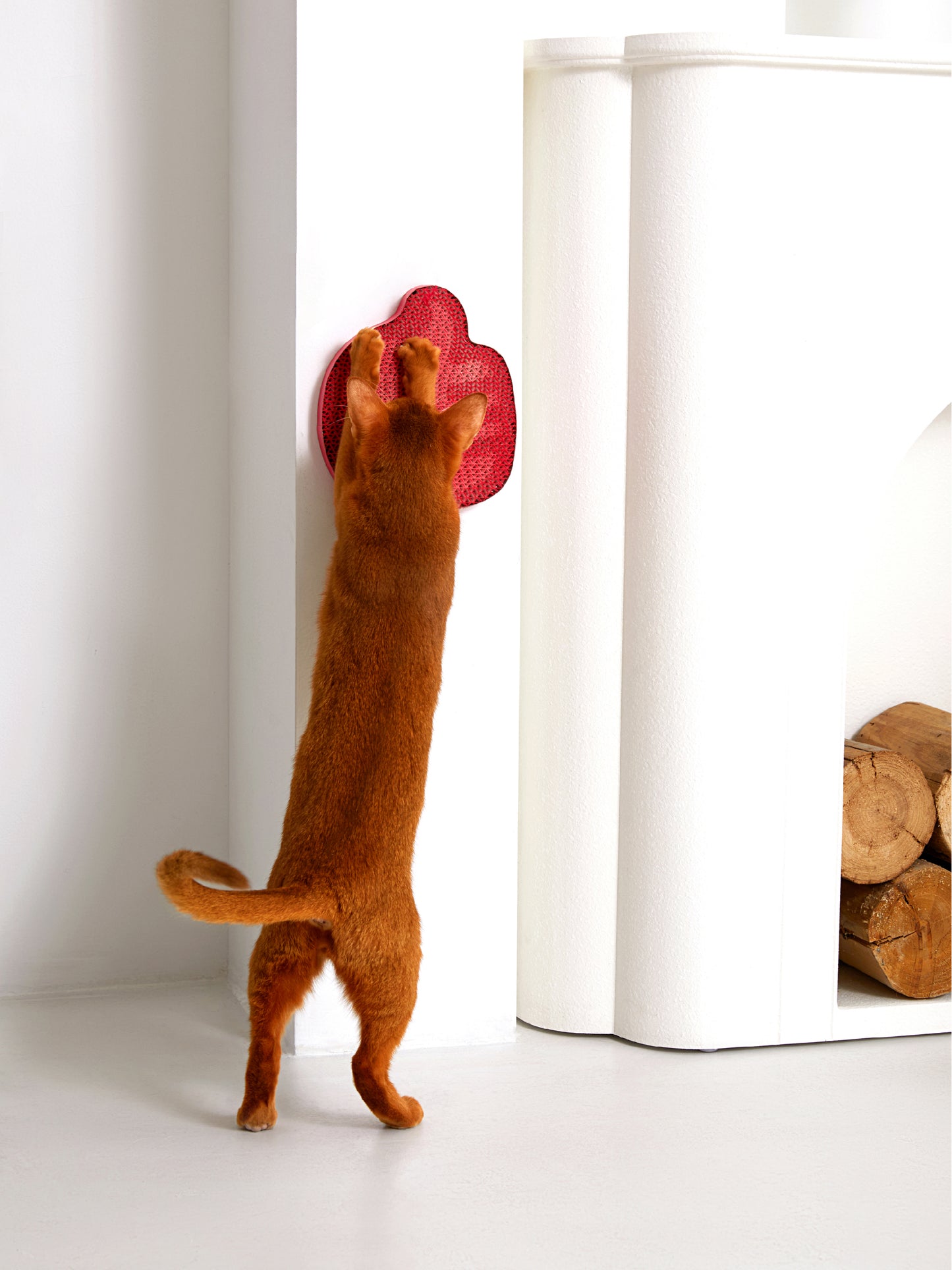 Red paw-shaped cardboard cat scratcher from CaatDada
