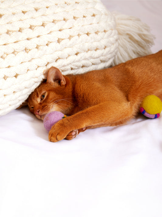 Hand-felted wool cat toys in vibrant colors – eco-friendly and soft