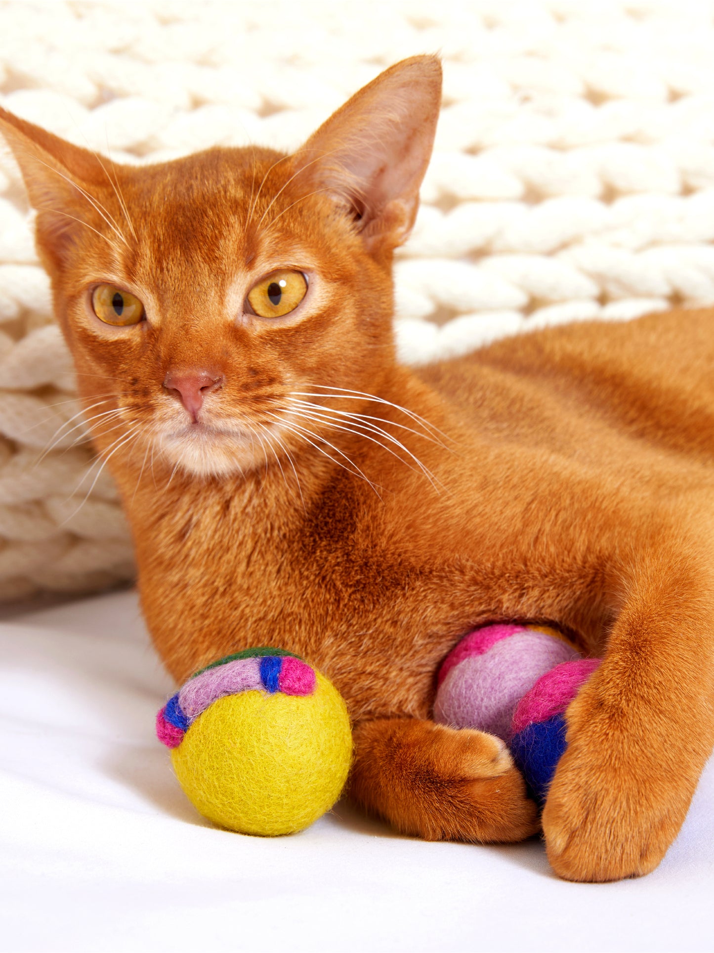 Hand-felted wool cat toys in vibrant colors – eco-friendly and soft