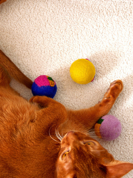 Hand-felted wool cat toys in vibrant colors – eco-friendly and soft