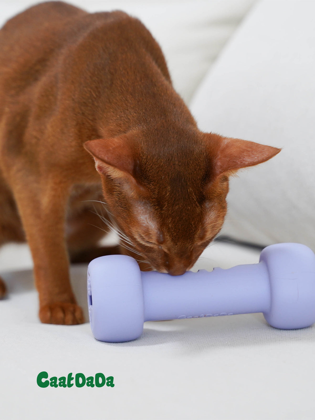 Cat Puzzle Toy Dumbbell-Interactive Cat Enrichment Toy